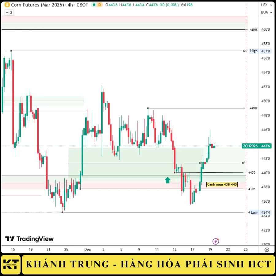 NGÔ ZCEH26 ngày 19/12/2025: CẬP NHẬT BIẾN ĐỘNG VÀ CHIẾN LƯỢC GIAO DỊCH
